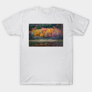 Burst of Fall T-Shirt